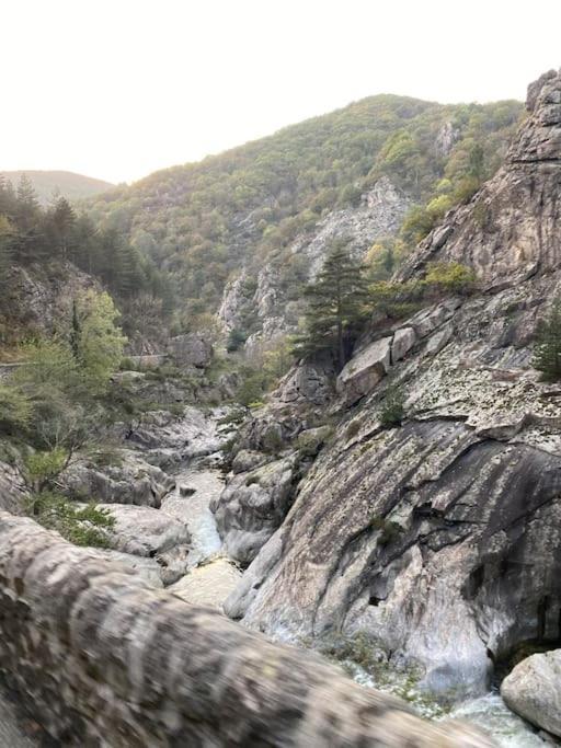 L'Atelier De La Bergerie - L' Ardeche - Via Rhona Villa Pont-Saint-Esprit Dış mekan fotoğraf