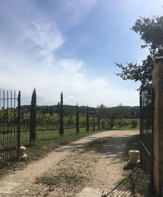 L'Atelier De La Bergerie - L' Ardeche - Via Rhona Villa Pont-Saint-Esprit Dış mekan fotoğraf